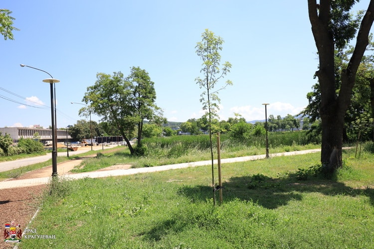 Kragujevac je prvi grad u Srbiji koji je doneo zabranu kakve nema u državi 2