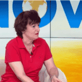 Biševac za N1: Srbija će lakše prihvatiti plan za Kosovo nego što će se odreći Putina 4