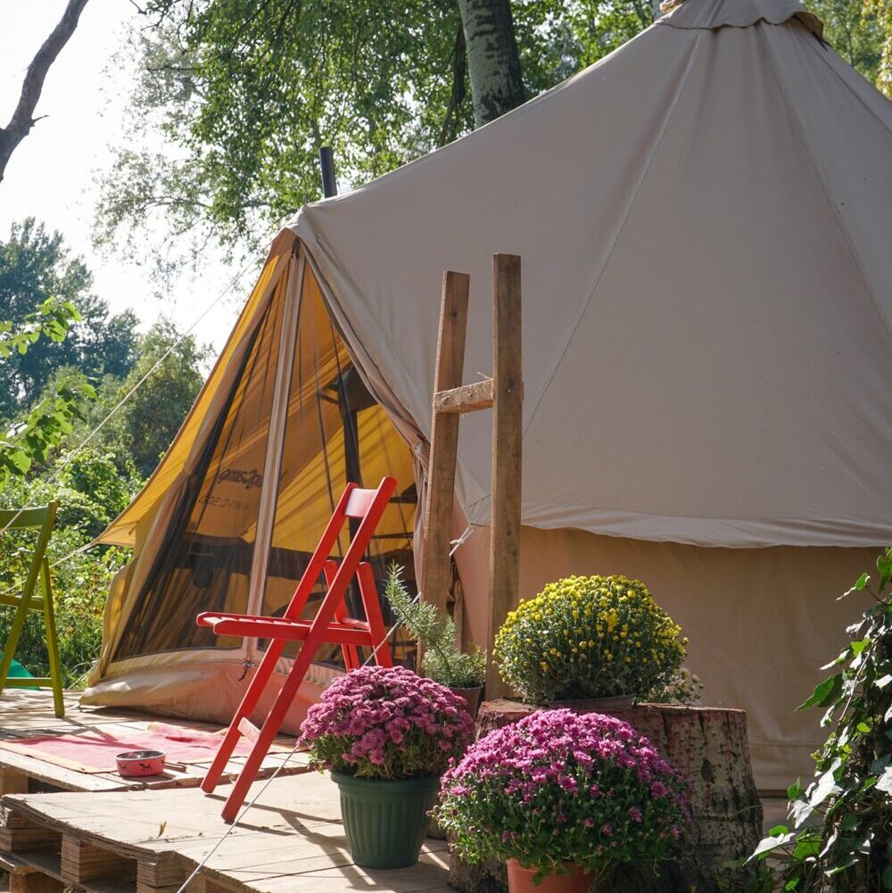 “Nadamo se da neće učiniti nikakvu glupost": Novosadski ekolozi i aktivisti tvrde da su primećene mašine "Milenijum tima" blizu Šodroša 3