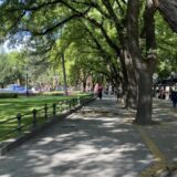 Subotica: Proglašena treća izborna lista za Bunjevački nacionalni savet 5