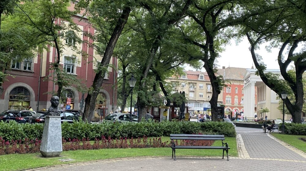 Subotica: Zbog bezbednosti prolaznika izvađena dva stabla ispred Gradske kuće, sutra sade nova 1