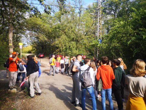 Subotička umetnica Jelena Grujičić: „Priroda je središte moje umetničke ideje“ 9