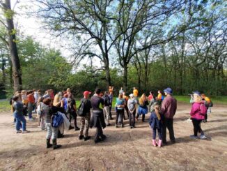 Subotička umetnica Jelena Grujičić: „Priroda je središte moje umetničke ideje“ 3