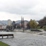 Počela jesenja sadnja drveća u Užicu 6