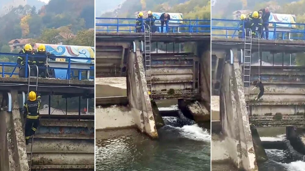 Plemenitost užičkih vatrogasaca: Iz hladne Đetinje spasili psa lutalicu 1