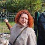 „Sve se desilo u sekundi, nismo znali šta nas je snašlo“: Putnica otkrila kako je izgledao trenutak kada je pao most 5