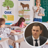 Ministar finansija tvrdi da novca ima: Zašto onda prosvetni radnici nisu optimisti? 13