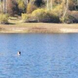 Gnjuračke ekipe tragaju za mladićem nestalim u Vlasinskom jezeru 5