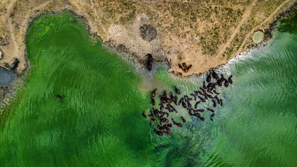 Andrej Nihil za Danas: Dobrom fotografijom vidiš dušu čoveka i osetiš joj emociju 2