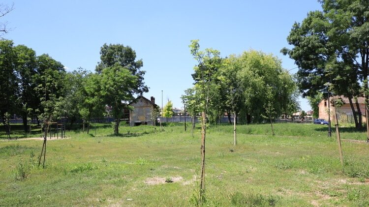 Kragujevac prvi zabranio gradnju bez sadnje drveća: Može li se ovom merom zaista zaštiti postojeća i napraviti nova zelena površina? 1