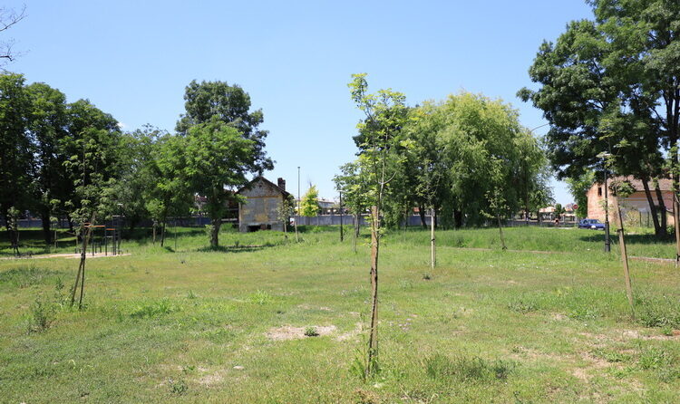 Kragujevac je prvi grad u Srbiji koji je doneo zabranu kakve nema u državi 1