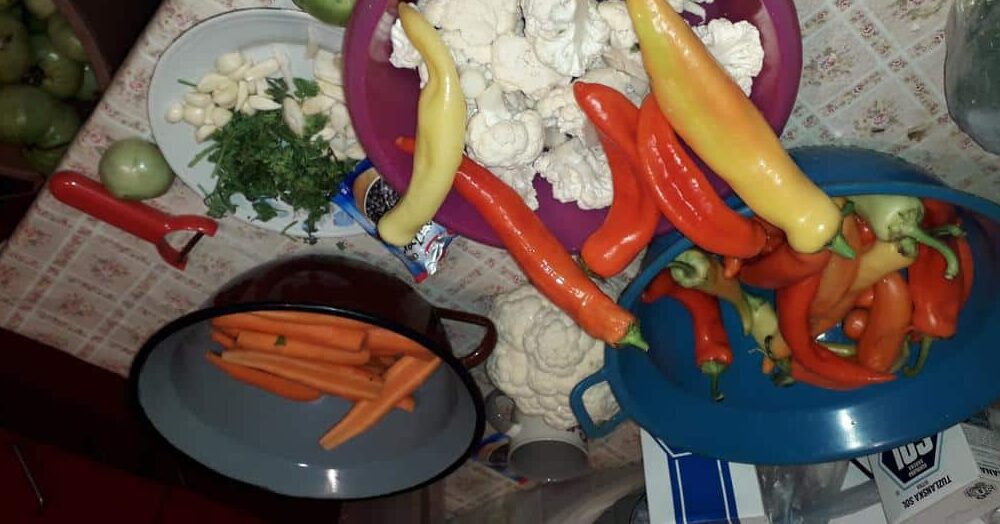 Koliko će koštati Vranjance priprema turšije 1