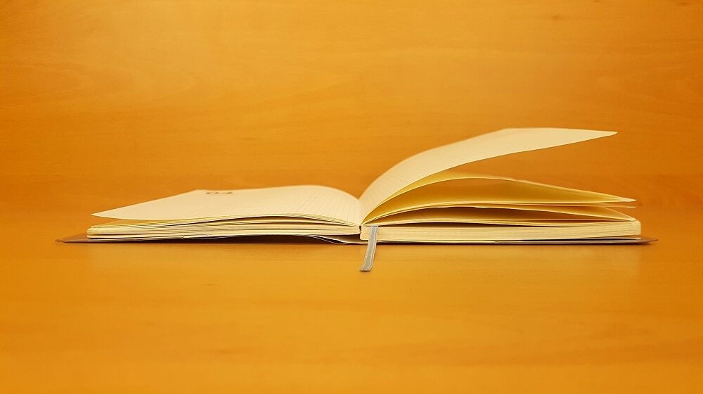 Sava Bunčić, naučnik koji piše o državnoj službi 1