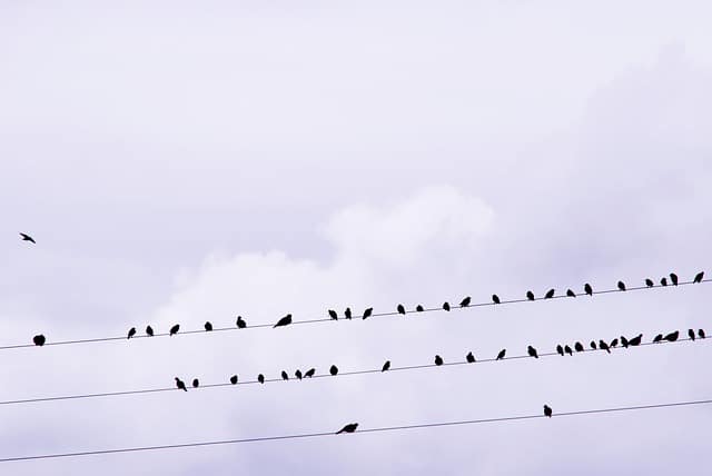 Loznica: Više mesta bez struje 1