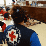Crveni krst Srbije: U Beogradu otvoren Nacionalni trening centar za prvu pomoć 6