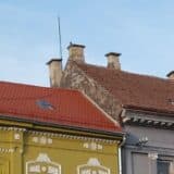 Radojević, Novi DSS: I za novosadske odžačare treba „veza” 3