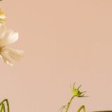 Zbunjenost i uranjanje u nesvest: Doktorka objašnjava kako izgledaju poslednji minuti života 11