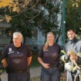 Ko je na najlepši način ujedinio građane i institucije u Nišu: Jedno ulično mače spasavali vatrogasci, komunalna milicija i stanari 2