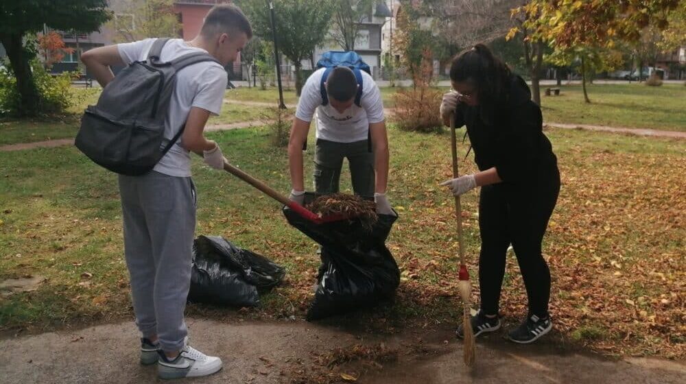 Negotinski srednjoškolci čišćenjem Park šume Cvećara ukazali na važnost čuvanja životne okoline 1