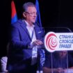 Goran Petrović, SSP