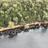 Novi Zeland: Stotine kitova se nasukalo, a 215 umrlo 6