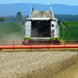 APV: Rezultati jesenje žetve izuzetno loši 6