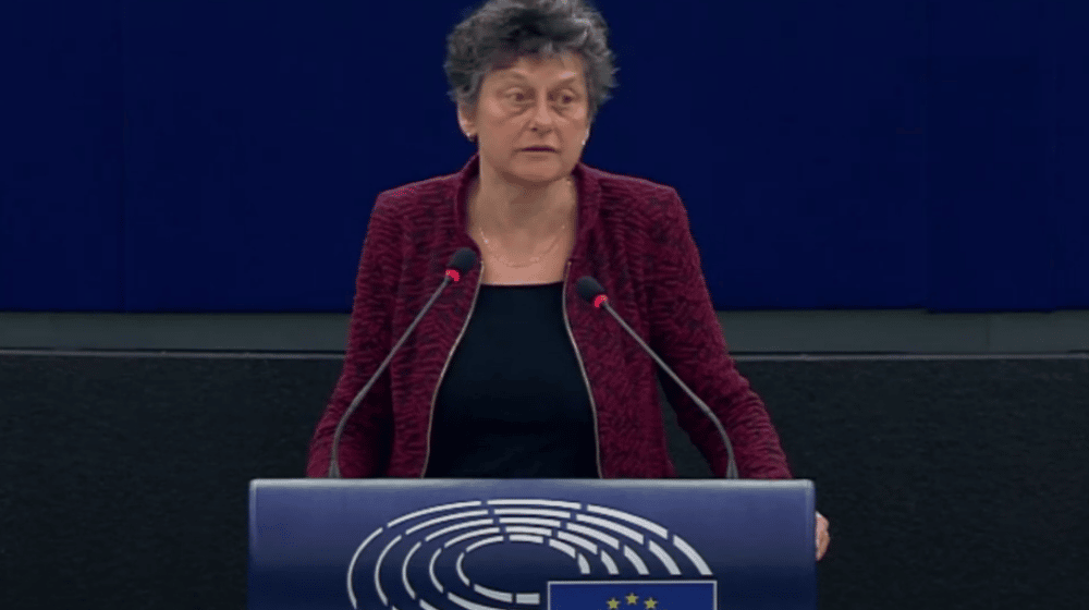 Evroparlamentarka Strik: Pozivamo Šmita da opozove izmene Izbornog zakona 1