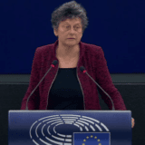 Evroparlamentarka Strik: Pozivamo Šmita da opozove izmene Izbornog zakona 1