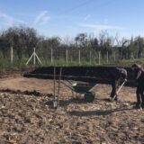 Zašto se nastavljaju arheološka iskopavanja na Lalinoj humki u Mokrinu 7