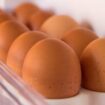 Koliko su poskupela jaja i može li da dođe do nestašice u Srbiji? 17