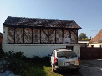 Prinosi kukuruza na banatskim njivama su katastrofalni: Žetva pri kraju, ratari ne znaju šta će 2