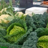 Vreme je za kupusnjače: Kelj može da bude ukusniji od sarme (RECEPT) 5