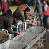 Na sajtovima za izdavanje smeštaja u Srbiji se objavljuju oglasi koji sadrže antimigrantske poruke 11