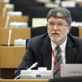 Rasprava u EP o Srbiji: Picula traži uvođenje sankcija Rusiji 6