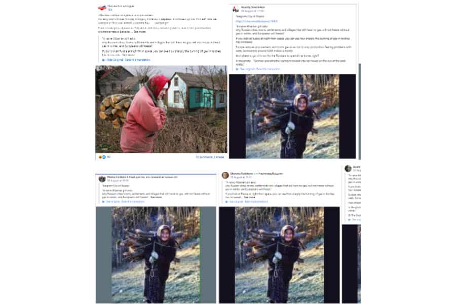 Nemačka ili ruska: Čija to baka sakuplja granje za polarnu zimu koja je pred nama? 2