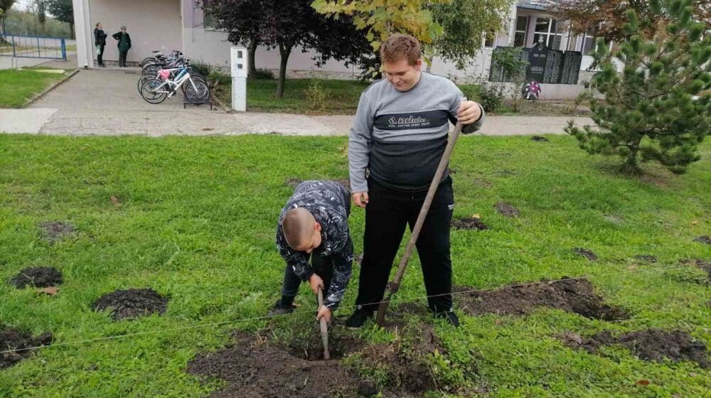 Iz Zrenjaninskog poslovnog kruga pola miliona za ozelenjavanje: Potrebno je da se jave ova udruženja 1