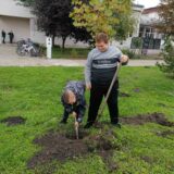 Iz Zrenjaninskog poslovnog kruga pola miliona za ozelenjavanje: Potrebno je da se jave ova udruženja 7