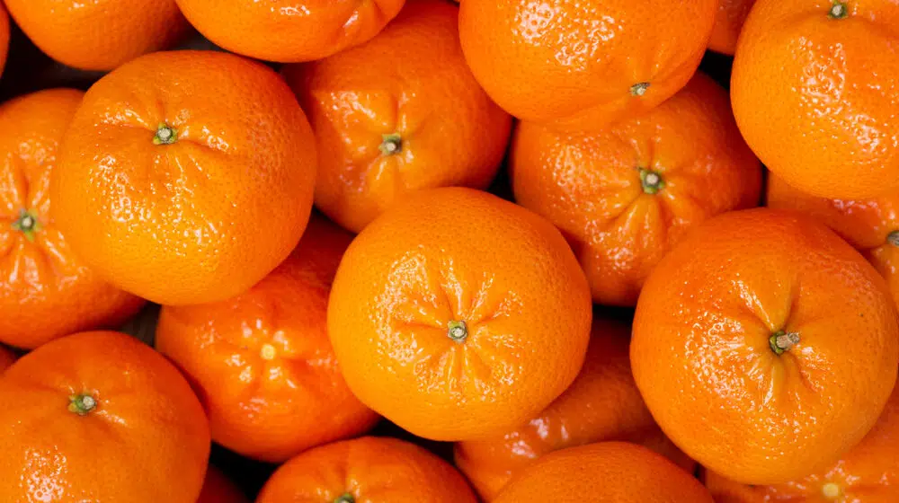 Volite li mandarine: 10 razloga zašto je dobro da ih jedete 1