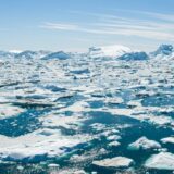 Arktik kao mogući izvor budućih pandemija 6