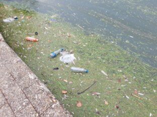 U Zrenjaninu se čeka na privatnog partnera koji bi rešio problem gradske deponije i odlaganja otpada 2