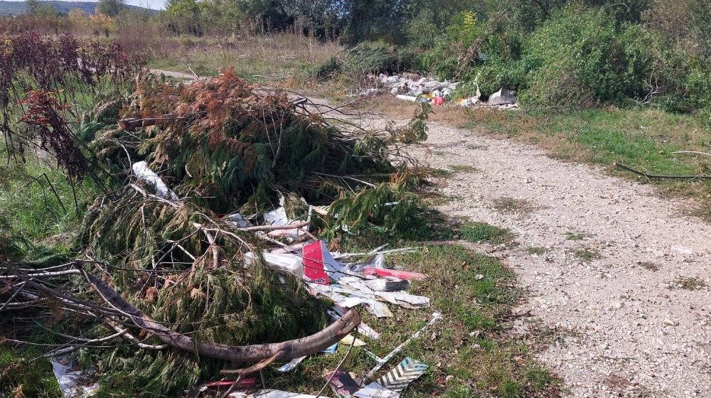 Pored kupališta u Zaječaru “nikla” divlja deponija 2 Pored kupališta u Zaječaru “nikla” divlja deponija 2