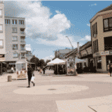 Nema građevinske table, investitor seče drveće: Nikla gradnja u okviru kompleksa nekada čuvene banje Palanački Kiseljak 6