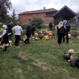 Za vikend u Nikoličevu pored Zaječara 13. “Tikvijada” 6