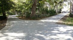 Privodi se kraju obnova Dunavskog parka: Novosađani dobili novu omiljenu česmu (FOTO) 10