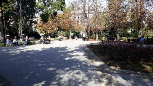 Privodi se kraju obnova Dunavskog parka: Novosađani dobili novu omiljenu česmu (FOTO) 12