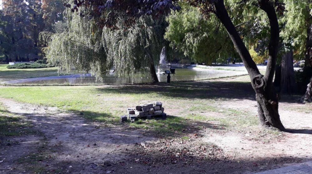 Sve manje zelenih površina: U Novom Sadu za pet godina iz planova nestalo sedam parkova 1