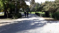 Privodi se kraju obnova Dunavskog parka: Novosađani dobili novu omiljenu česmu (FOTO) 8