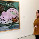 Francuske vlasti pozvale muzeje na budnost zbog ekoloških aktivista 2