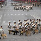 U Francuskoj podignut prvi spomenik posebnim herojima - civilnim i vojnim psima 9