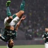 Palmeiras je novi šampion Brazila 7